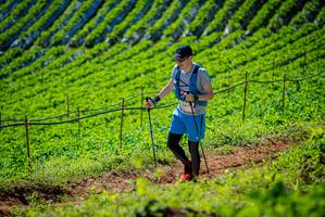 BIB: 
                            <button type="button" onclick="openModal(19162336)" class="btn btn-primary btn-sm float-right btn-popup" data-toggle="modal" data-target=".modal-high-quality">
                        <i class="fas fa-shopping-cart"></i> Add to Cart
                    </button>
                                            <button type="button" onclick="isThisMe(19162336, true)" class="btn btn-success btn-sm float-right btn-popup btn-isme hidden" data-toggle="tooltip" data-placement="bottom" title="นี่คือรูปของคุณใช่ไหม คลิกที่นี่เพื่อเอาเข้าอัลบั้ม">
                        <i class="fas fa-plus"></i> Add to album
                    </button>
                    <button type="button" onclick="isThisMe(19162336, false)" class="btn btn-warning btn-sm float-right btn-popup btn-isnotme hidden">
                        <i class="fas fa-ban"></i> Remove from album
                    </button>